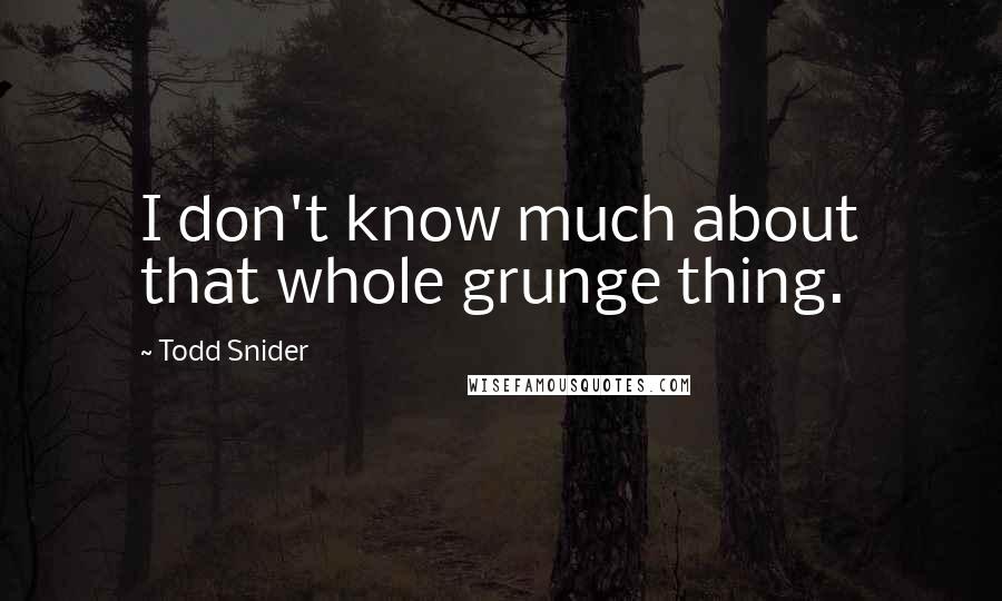 Todd Snider quotes: I don't know much about that whole grunge thing.