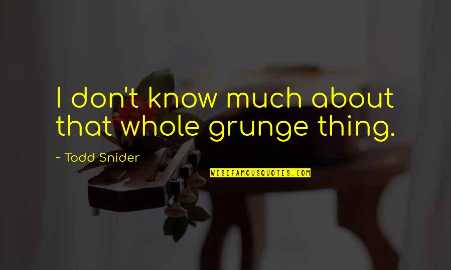 Todd Snider Quotes By Todd Snider: I don't know much about that whole grunge