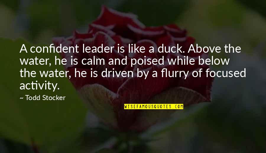 Todd Stocker Quotes By Todd Stocker: A confident leader is like a duck. Above Todd Stocker Quotes By Todd Stocker: A confident leader is like a duck. Above
