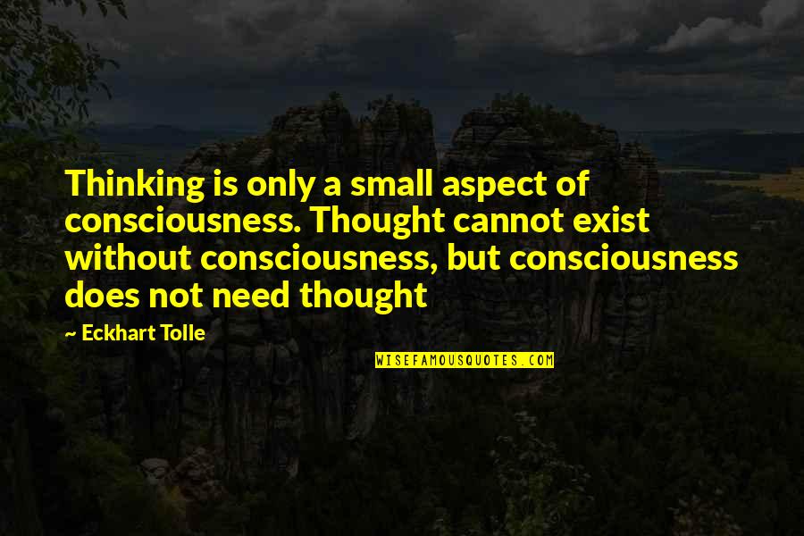 Toddler Brother And Sister Quotes By Eckhart Tolle: Thinking is only a small aspect of consciousness. Toddler Brother And Sister Quotes By Eckhart Tolle: Thinking is only a small aspect of consciousness.