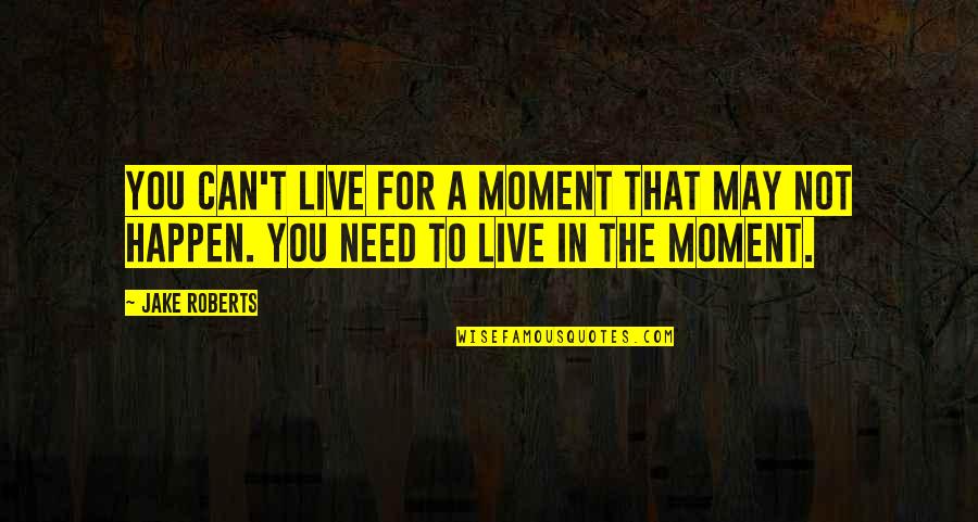 Toddstock 2018 Quotes By Jake Roberts: You can't live for a moment that may