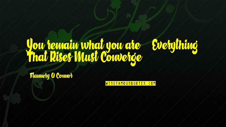 Todent Quotes By Flannery O'Connor: You remain what you are. - Everything That