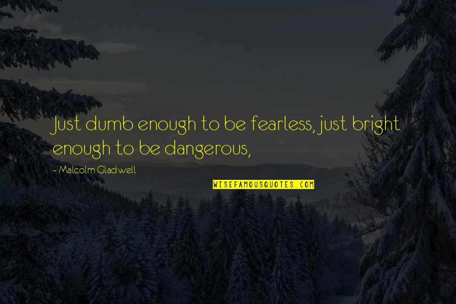 Todesfuge Quotes By Malcolm Gladwell: Just dumb enough to be fearless, just bright