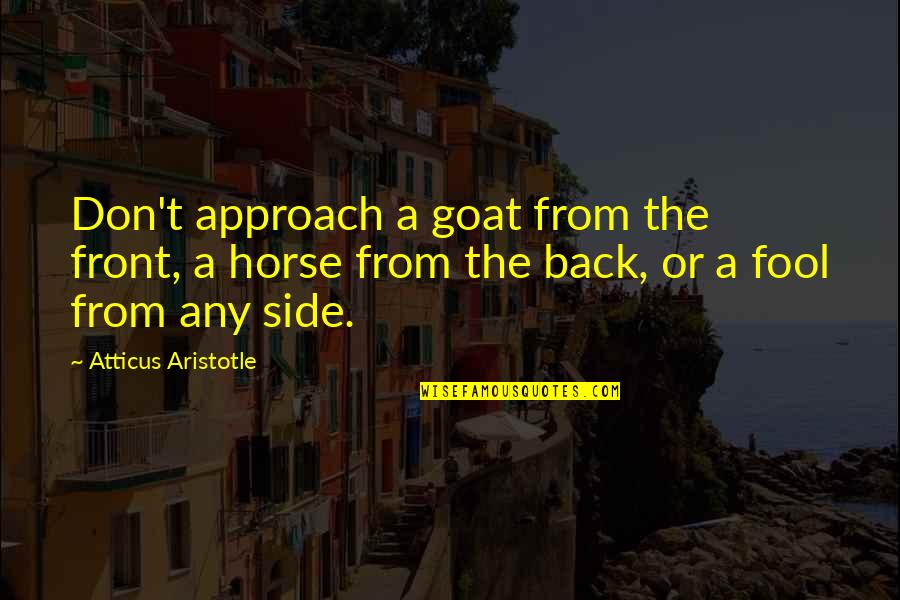 Todorka Sajkova Quotes By Atticus Aristotle: Don't approach a goat from the front, a Todorka Sajkova Quotes By Atticus Aristotle: Don't approach a goat from the front, a