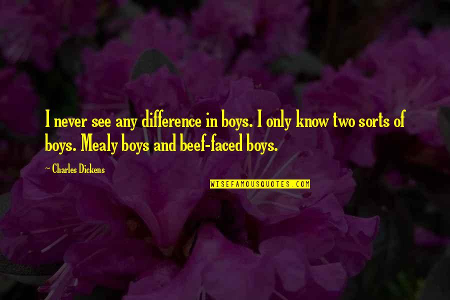 Toedeledokie Quotes By Charles Dickens: I never see any difference in boys. I