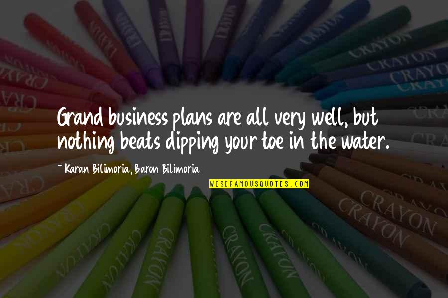 Toes In The Water Quotes By Karan Bilimoria, Baron Bilimoria: Grand business plans are all very well, but