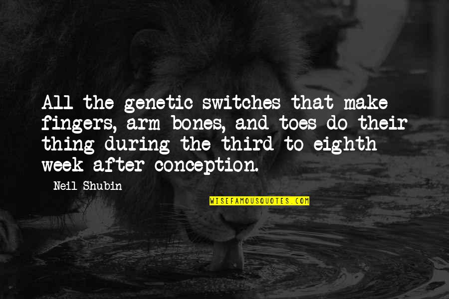 Toes Quotes By Neil Shubin: All the genetic switches that make fingers, arm