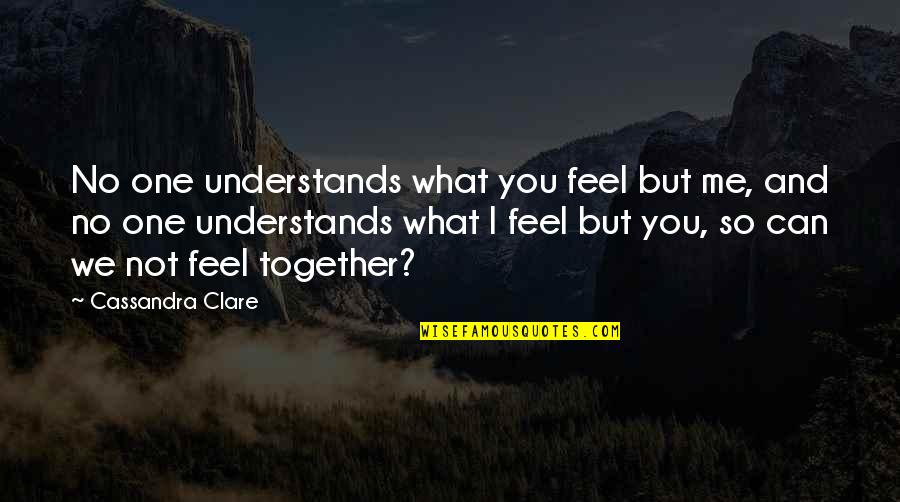 Together Me And You Quotes By Cassandra Clare: No one understands what you feel but me,