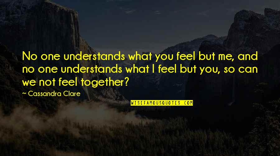 Together You Can Quotes By Cassandra Clare: No one understands what you feel but me,