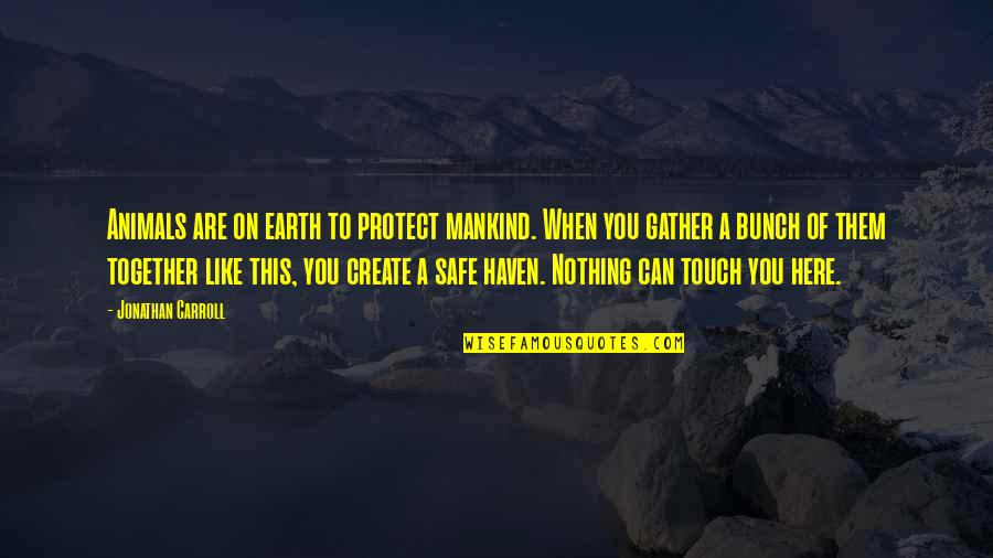 Together You Can Quotes By Jonathan Carroll: Animals are on earth to protect mankind. When