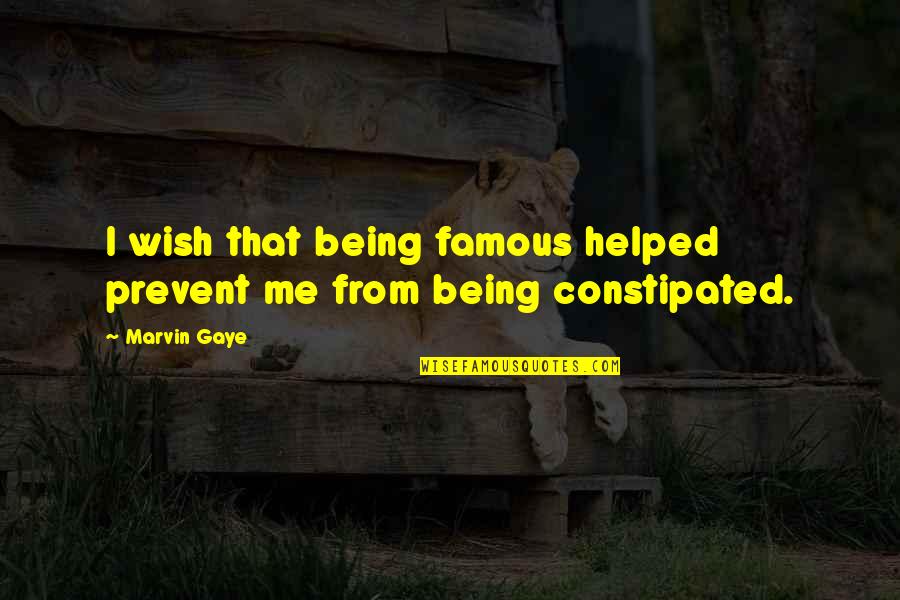 Togstad Drywall Quotes By Marvin Gaye: I wish that being famous helped prevent me