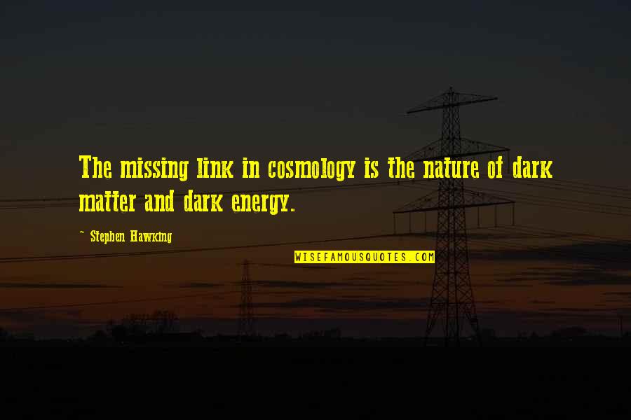 Togwotee Mountain Lodge Quotes By Stephen Hawking: The missing link in cosmology is the nature