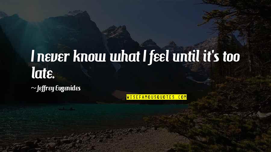 Tohrment And Welsie Quotes By Jeffrey Eugenides: I never know what I feel until it's Tohrment And Welsie Quotes By Jeffrey Eugenides: I never know what I feel until it's