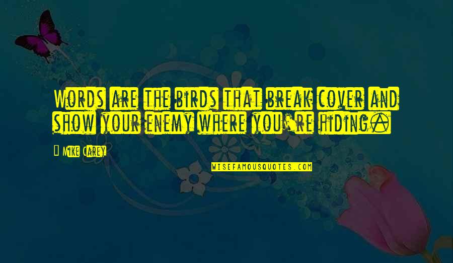 Toilet Unclogging Quotes By Mike Carey: Words are the birds that break cover and