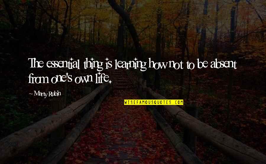 Toine Knipping Quotes By Marty Rubin: The essential thing is learning how not to