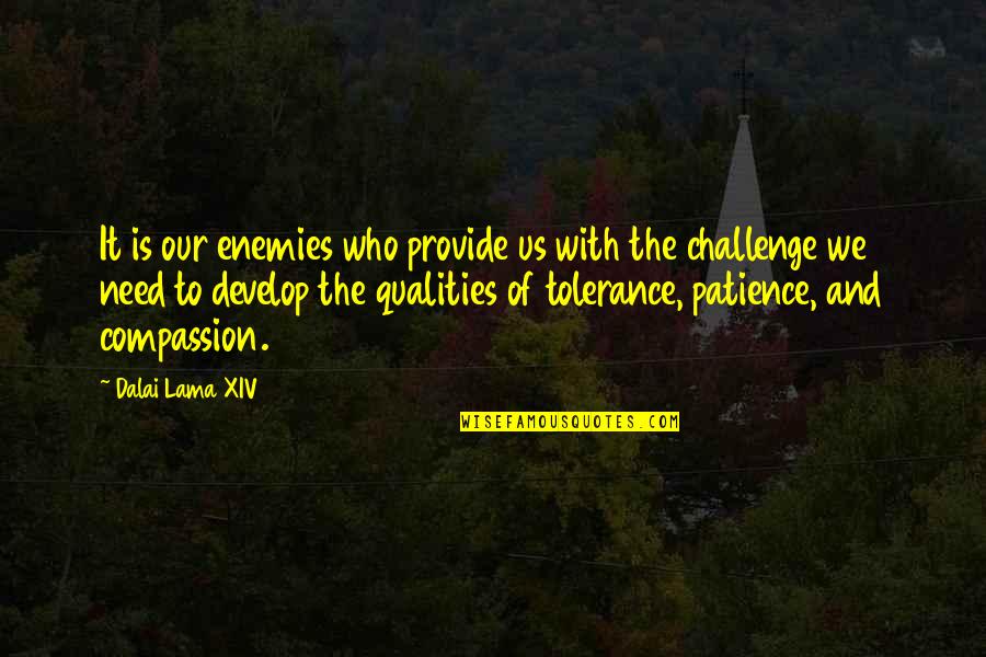 Tolerance And Patience Quotes By Dalai Lama XIV: It is our enemies who provide us with