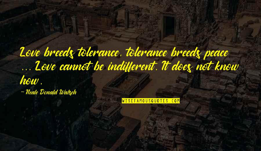 Tolerance And Peace Quotes By Neale Donald Walsch: Love breeds tolerance, tolerance breeds peace ... Love