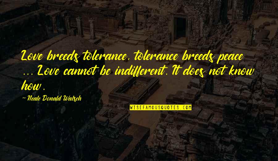 Tolerance And Peace Quotes By Neale Donald Walsch: Love breeds tolerance, tolerance breeds peace ... Love Tolerance And Peace Quotes By Neale Donald Walsch: Love breeds tolerance, tolerance breeds peace ... Love