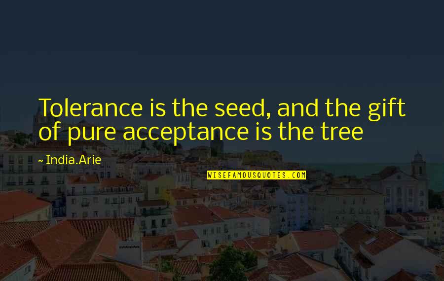 Tolerance Versus Acceptance Quotes By India.Arie: Tolerance is the seed, and the gift of