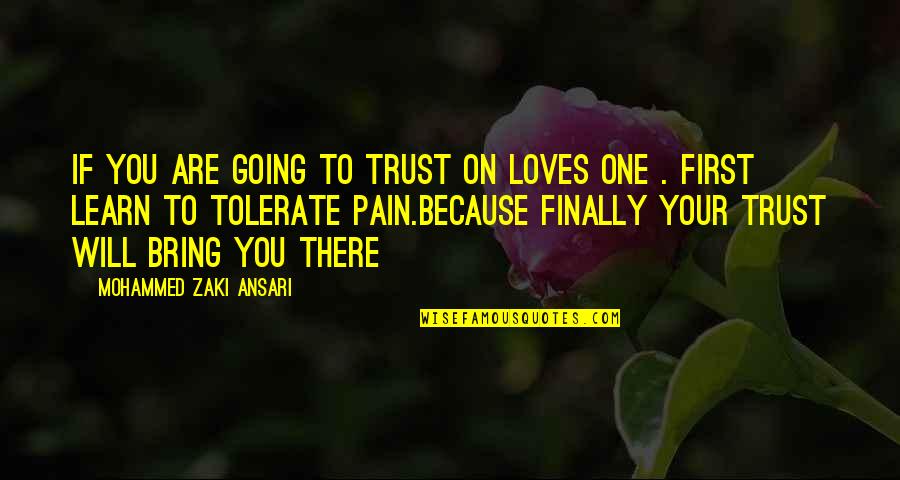 Tolerate Pain Quotes By Mohammed Zaki Ansari: If you are going to trust on loves