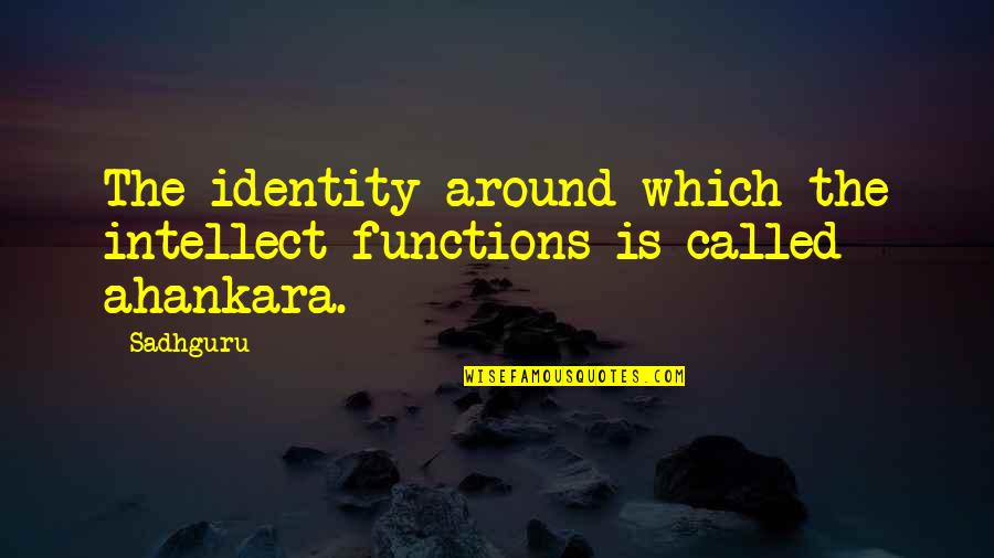 Toleration Act Quotes By Sadhguru: The identity around which the intellect functions is