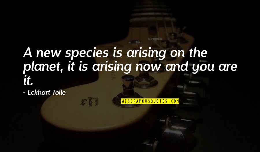 Tolle Quotes By Eckhart Tolle: A new species is arising on the planet,