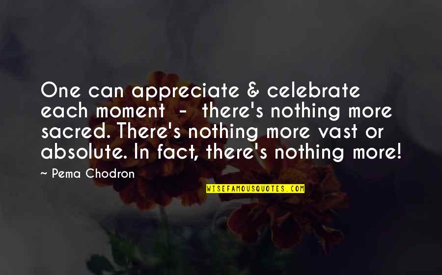 Tolletje Quotes By Pema Chodron: One can appreciate & celebrate each moment -