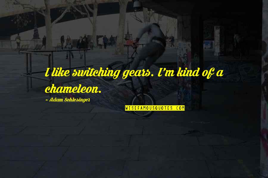 Tollon Elite Quotes By Adam Schlesinger: I like switching gears. I'm kind of a Tollon Elite Quotes By Adam Schlesinger: I like switching gears. I'm kind of a