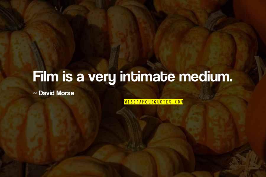 Tolstoy Philosophy Quotes By David Morse: Film is a very intimate medium.