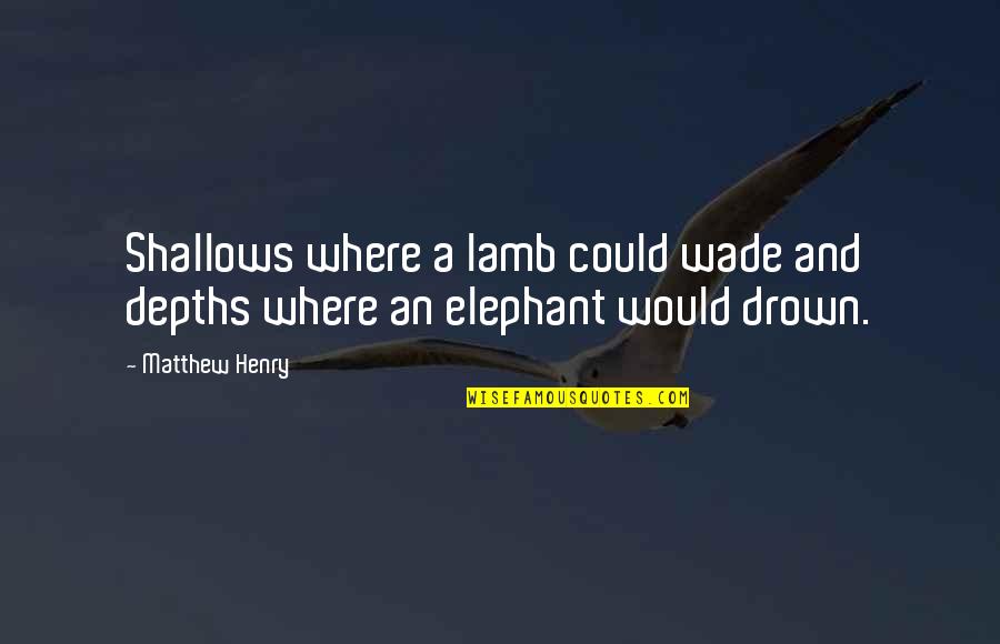Tolterodine Quotes By Matthew Henry: Shallows where a lamb could wade and depths