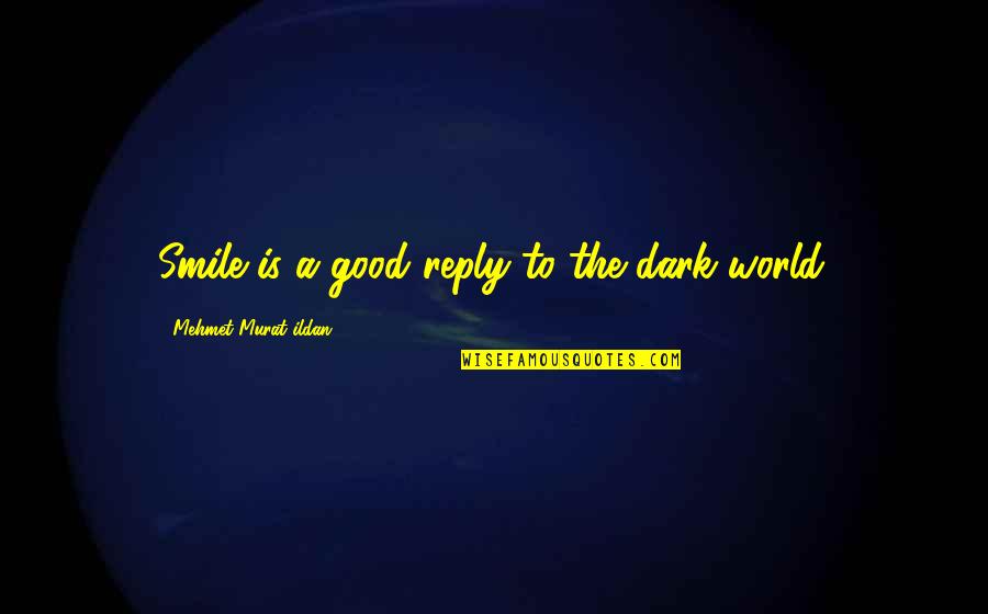 Toltok Quotes By Mehmet Murat Ildan: Smile is a good reply to the dark