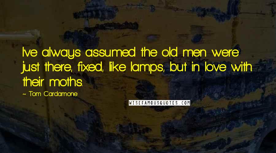 Tom Cardamone quotes: I've always assumed the old men were just there, fixed, like lamps, but in love with their moths.