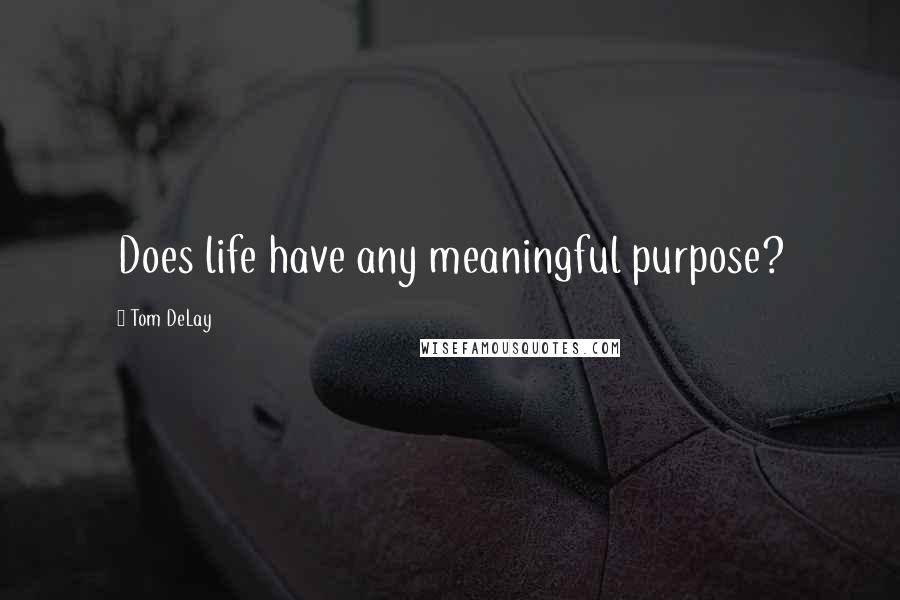 Tom DeLay quotes: Does life have any meaningful purpose?