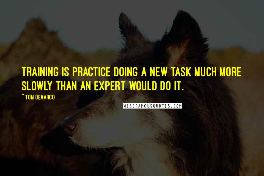 Tom DeMarco quotes: Training is practice doing a new task much more slowly than an expert would do it.