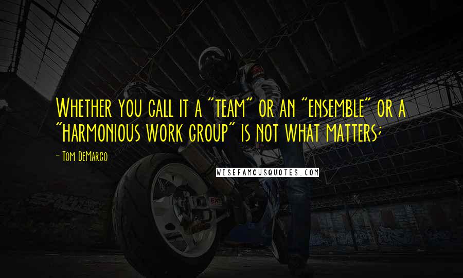 Tom DeMarco quotes: Whether you call it a "team" or an "ensemble" or a "harmonious work group" is not what matters;