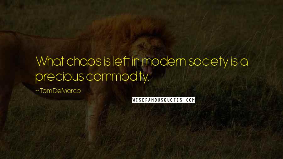 Tom DeMarco quotes: What chaos is left in modern society is a precious commodity.