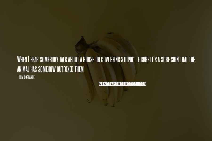 Tom Dorrance quotes: When I hear somebody talk about a horse or cow being stupid; I figure it's a sure sign that the animal has somehow outfoxed them