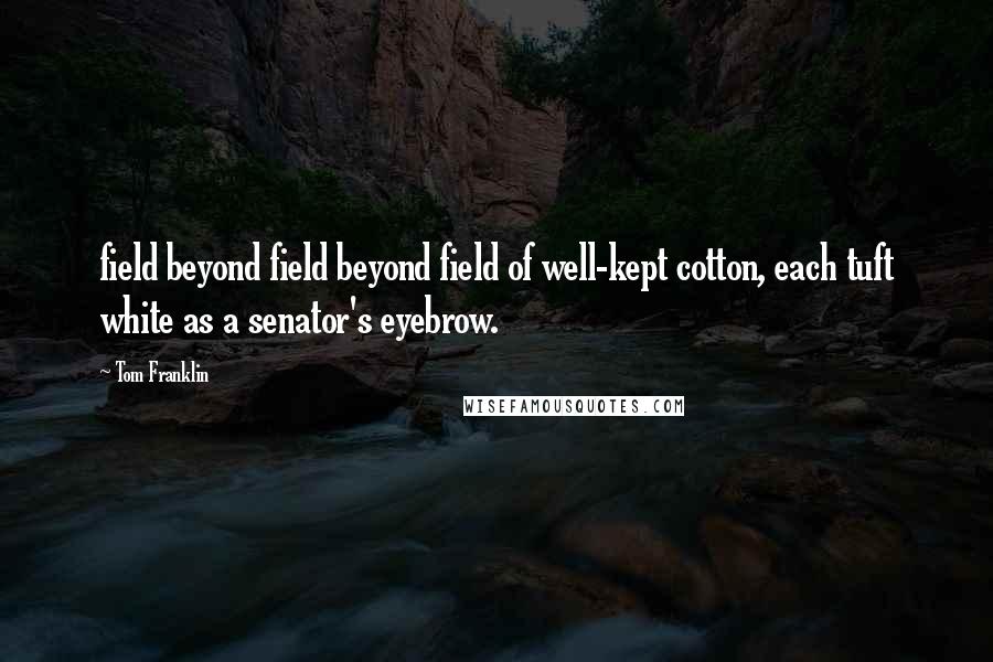 Tom Franklin quotes: field beyond field beyond field of well-kept cotton, each tuft white as a senator's eyebrow.