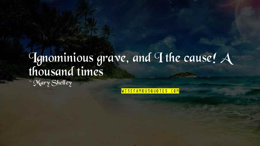 Tom Landry Teamwork Quotes By Mary Shelley: Ignominious grave, and I the cause! A thousand Tom Landry Teamwork Quotes By Mary Shelley: Ignominious grave, and I the cause! A thousand