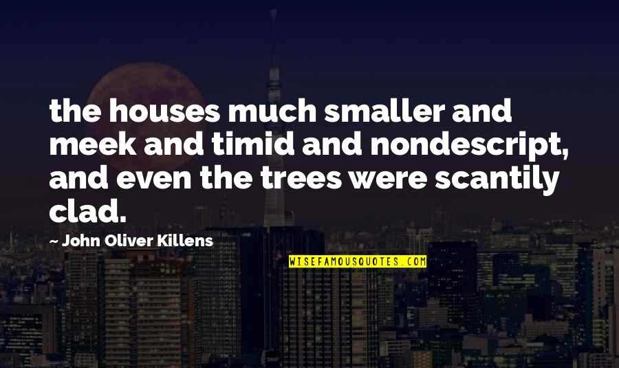 Tom Mauser Quotes By John Oliver Killens: the houses much smaller and meek and timid