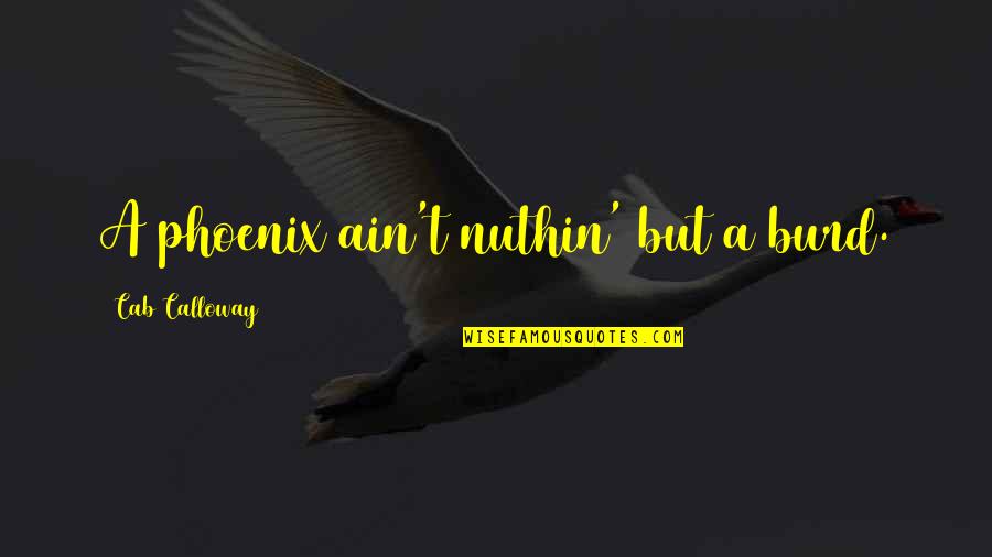 Tom Northup Quotes By Cab Calloway: A phoenix ain't nuthin' but a burd.