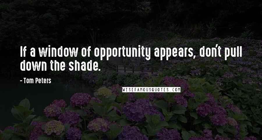 Tom Peters quotes: If a window of opportunity appears, don't pull down the shade.