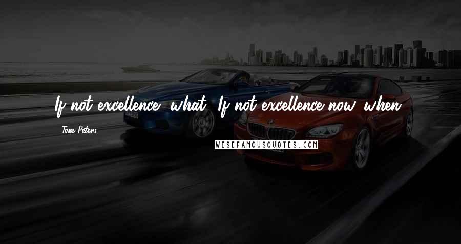 Tom Peters quotes: If not excellence, what? If not excellence now, when?