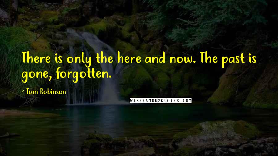 Tom Robinson quotes: There is only the here and now. The past is gone, forgotten.