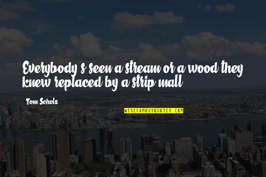 Tom Scholz Quotes By Tom Scholz: Everybody's seen a stream or a wood they