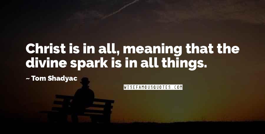 Tom Shadyac quotes: Christ is in all, meaning that the divine spark is in all things.