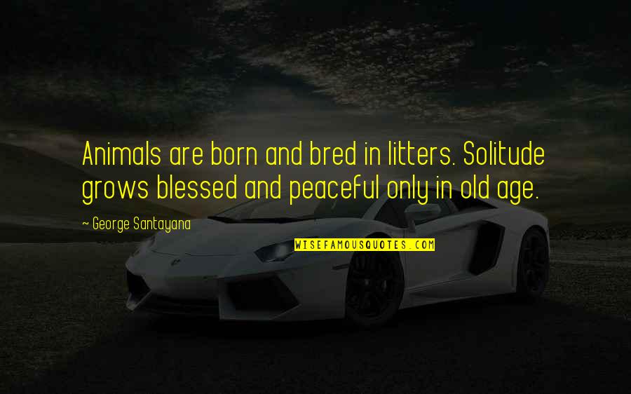 Tom Waterhouse Quotes By George Santayana: Animals are born and bred in litters. Solitude