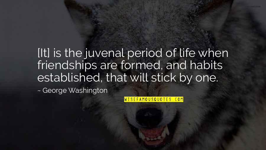 Tomanija Duricko Quotes By George Washington: [It] is the juvenal period of life when