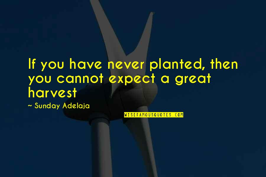 Tomaran En Quotes By Sunday Adelaja: If you have never planted, then you cannot Tomaran En Quotes By Sunday Adelaja: If you have never planted, then you cannot