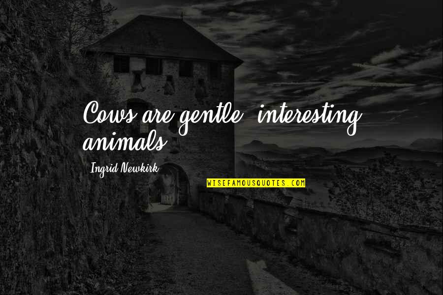 Tomas Maldonado Quotes By Ingrid Newkirk: Cows are gentle, interesting animals. Tomas Maldonado Quotes By Ingrid Newkirk: Cows are gentle, interesting animals.